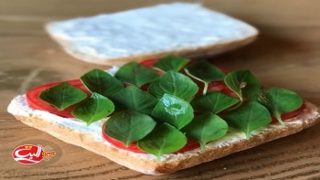 پنینی پنیر و گوجه و ریحون